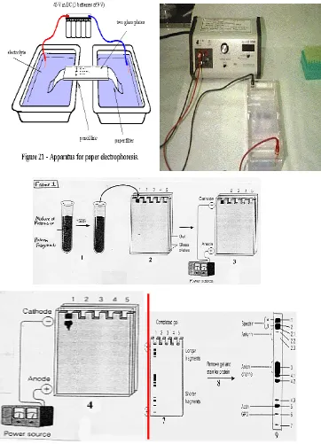 Gambar. 3.  Instrumentasi Kromatografi Elektroforesis Kertas