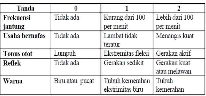 Tabel 2.1 Skor APGAR 