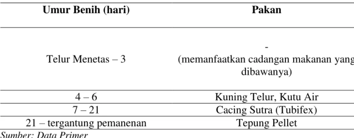 Tabel 2. Pemberian Pakan Buatan dan Pakan Tambahan Berdasarkan Umur Benih  Ikan  Lele  Dumbo  Pada  Usaha  Pembenihan  Ikan  Lele  Dumbo  Di  Kelurahan  Lembah Sari Tahun 2009 