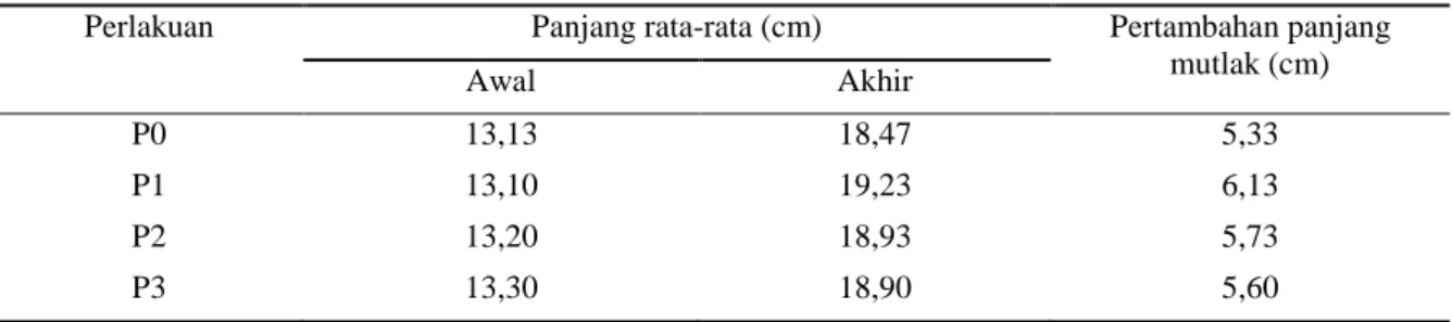 Tabel 2.  Pertambahan  Panjang  Rata-rata  Individu  Ikan  Baung  (Mystus  nemurus)  Selama  Penelitian  (cm) 