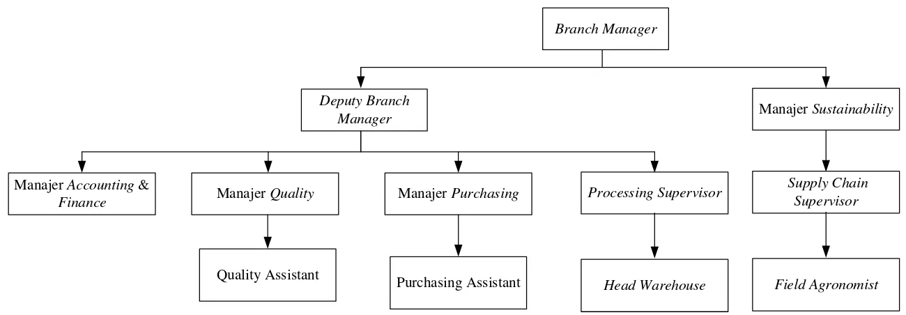 Gambar 2.1. Struktur Organisasi PT. Indo CafCo 