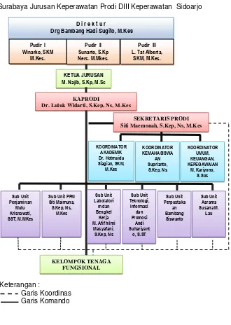 Gambar  3 :  Struktur Organisasi  Politeknik Kesehatan Kemenkes   