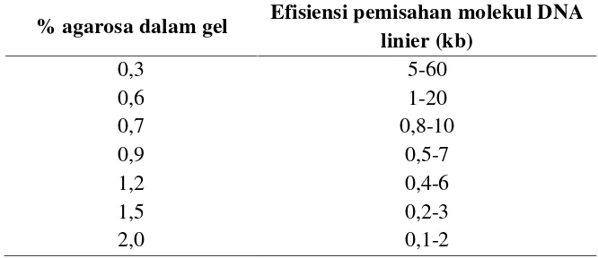 Tabel 2.4 Rentang pemisahan pada gel agarosa (Sudjadi, 2008)