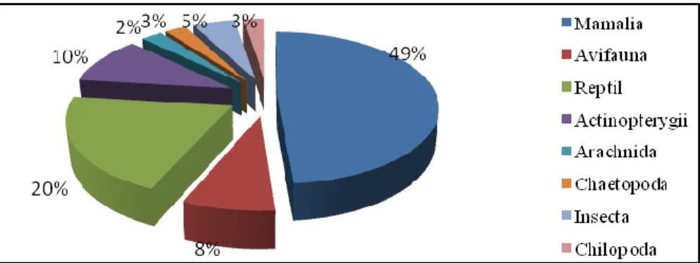Gambar 1. Diagram klasifikasi dan persentase jumlah jenis satwa berkhasiat obat.  Mamalia  lain  yang  dimanfaatkan  sebagai  obat  oleh 