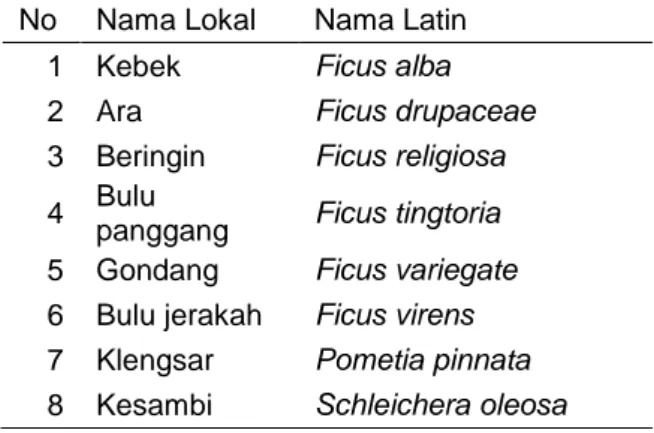 Tabel 2 Jenis tumbuhan yang di jadikan pakan di lokasi penelitian  No  Nama Lokal  Nama Latin 