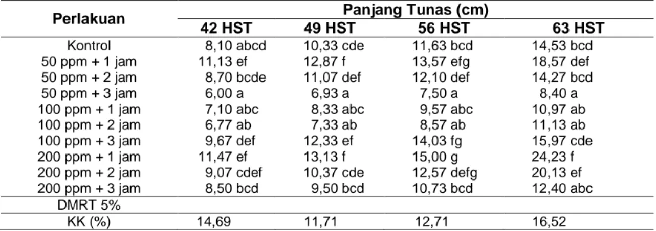 Tabel  2.  Rata-rata  Panjang  Tunas  Stek  Tanaman  Mawar  akibat  Perlakuan  Konsentrasi  dan  Perendaman ZPT Rootone-F pada Berbagai Umur Pengamatan 