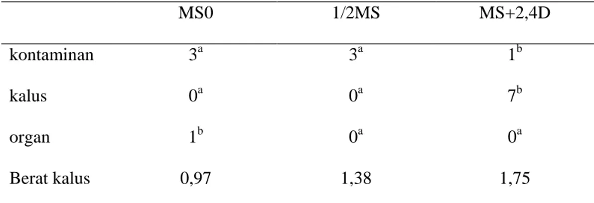 Tabel  2  menunjukan  persentase  kontaminasi  eksplan  rumput  gajah  cv.  Mott  yang  terkontaminan  selama  8  MTS