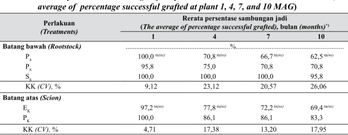 Tabel 5.   Rerata persentase sambungan jadi pada tanaman umur 1, 4, 7, dan 10 BSP (The 