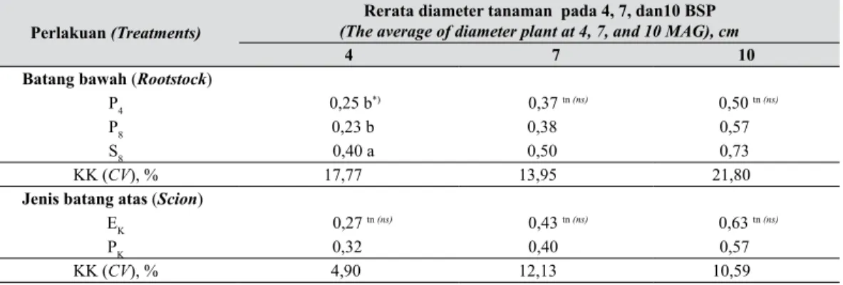 Tabel 8.   Rerata diameter tanaman sambungan pada 4, 7, dan10 BSP (The average of diameter 