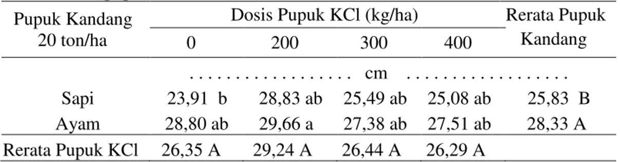 Tabel  1.  Tinggi  tanaman  bawang  merah  setelah  diperlakukan  pupuk  kandang  danpupuk KCl