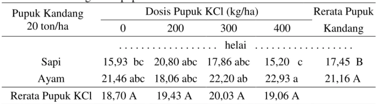 Tabel 2.  Jumlah  daun  bawang  merah  setelah  diperlakukan  dengan  pupuk  kandang    dan pupuk KCl