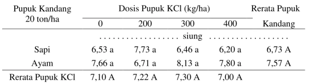 Tabel  4.  Jumlah  umbi  per  rumpun  bawang  merah  setelah  diperlakukan  dengan   pupuk kandang dan pupuk KCl