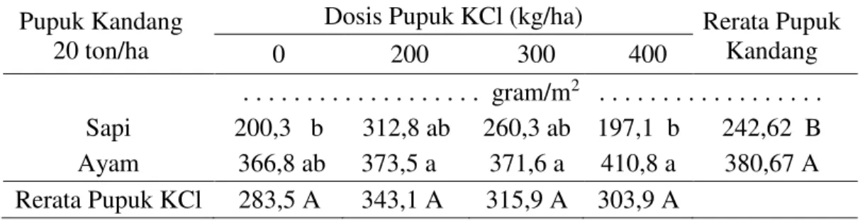 Tabel  5.  Berat  umbi  segar  bawang  merah  setelah  diperlakukan  dengan  pupuk  kandang dan pupuk KCl