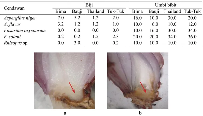 Tabel 2  Persentase infeksi cendawan terbawa  biji (TSS) dan umbi bibit beberapa kultivar bawang  merah