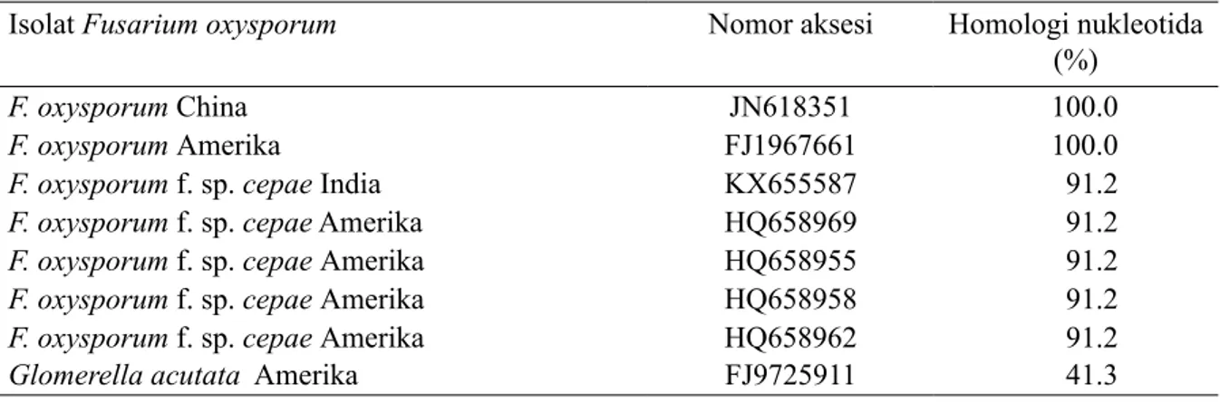 Tabel 3  Homologi nukleotida isolat  Fusarium  oxysporum dari umbi bawang merah kultivar Bima  dengan beberapa aksesi di GenBank