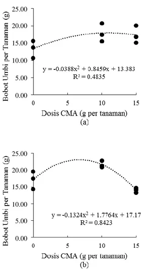 Gambar 2. Kurva regresi dosis CMA terhadap  bobot umbi per tanaman (a) dengan  teknik  pengairan  intermittent  (b)  dengan  teknik  pengairan  selalu  tergenang 