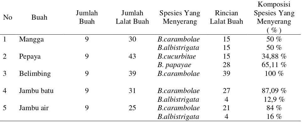 Tabel 3.  Komposisi Lalat Buah dalam Inang 