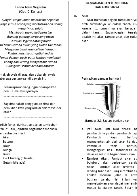 Gambar 2.1 Bagian-bagian akar