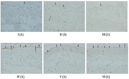Gambar Gambaran Histopatologi Retina Tikus dengan Pewarnaan GSL Menggunakan Mikroskop    