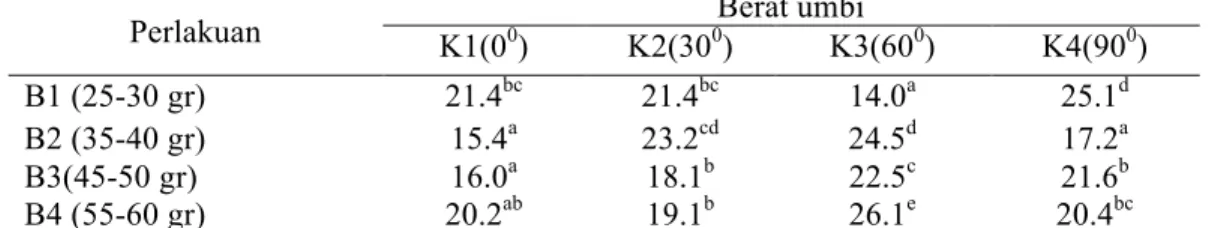 Tabel  7.  Pengaruh  kombinasi  perlakuan  bobot  umbi  bibit  (B)  dan  metode  penempatan  dalam lubang tanam (K) terhadap berat umbi tanaman kentang