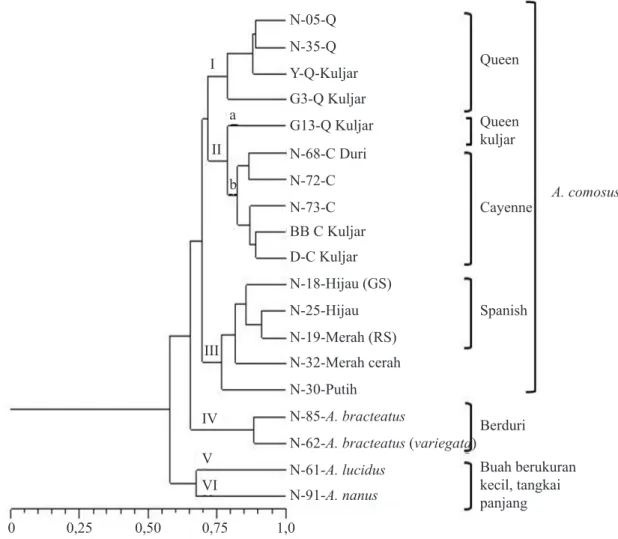 Gambar 3.   Dendrogram 19 aksesi nenas berdasarkan analisis kluster UPGMA menggunakan 20 primer  ( Dendrogram of 19 pineapple accessions based on UPGMA cluster analysis using 20  primers)