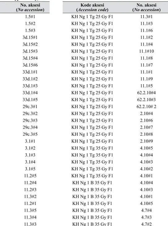 Tabel 1.   Daftar koleksi kentang hitam hasil radiasi sinar γ konsentrasi 6, 25, dan 35 Gy yang berasal dari  Nganjuk 1