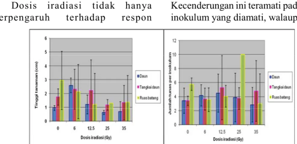 Gambar 4.  Pertumbuhan tunas setelah disubkultur sekali (S1) yang berasal dari inokulum