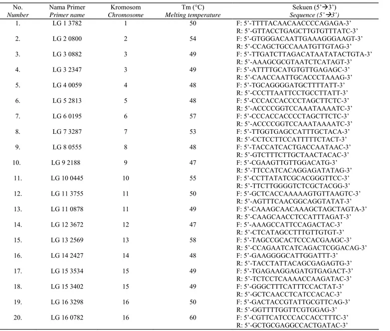 Tabel 2.  Nama primer, lokasinya pada kromosom, temperature penempelan (Tm), dan sekuen dari primer SSR yang  digunakan untuk amplifikasi DNA 49 aksesi kelapa sawit 