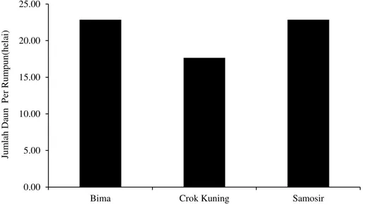 Gambar 4. Diagram hubungan tiga varietas bawang merah dengan jumlah daun per rumpun 7 MST  Peubah amatan jumlah daun (Tabel 2) 