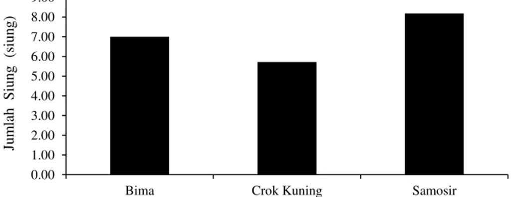Diagram  hubungan  tiga  varietas  bawang  merah  dengan  jumlah  siung  disajikan  pada      Gambar 8