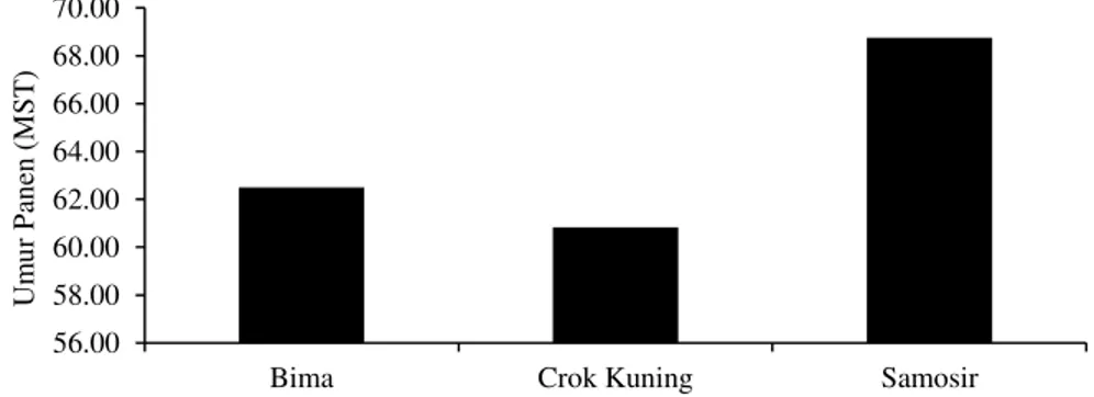 Gambar 10. Diagram hubungan jenis pupuk organik dengan umur panen  Peubah  amatan  umur  panen  (Tabel  5) 