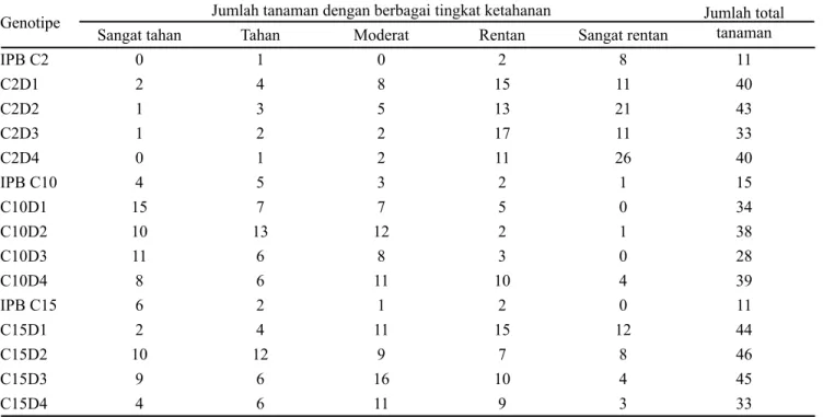 Tabel 2. Kriteria ketahanan cabai terhadap penyakit Antraknosa pada tanaman M 2