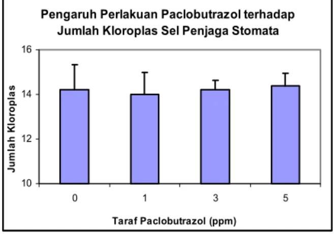 Gambar 5. Penampilan visual kultur purwoceng (yang berasal dari  beberapa perlakuan paclobutrazol) pada tahap regenerasi, 4  bulan setelah subkultur: kontrol (A), paclobutrazol 1 ppm  (B), paclobutrazol 3 ppm (C), dan paclobutrazol 5 ppm (D)  Figure 5
