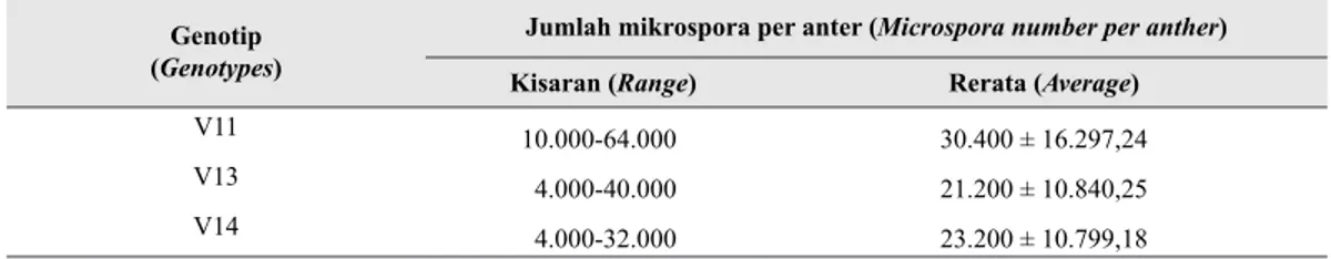 Tabel 3.   Rasio tahap perkembangan mikrospora berdasarkan ukuran kuncup bunga dan  warna anter (Ratio of microspore development based on bud size and anther color)