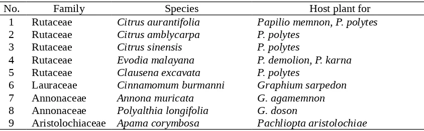 Table 3. Host plants species recorded for swallowtail butterflies at nine National  Parks of Sumatra.