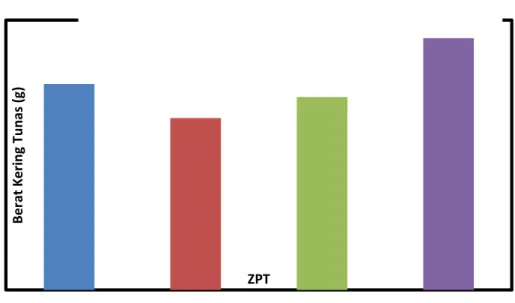 Gambar 7. Histogram hubungan berat kering tunas dengan pemberian ZPT 