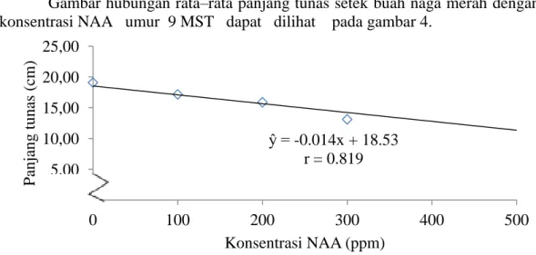 Gambar  4  memperlihatkan  terdapat  hubuingan  linear  rata–rata  panjang tunas setek buah naga merah  dengan  konsentrasi  NAA        9  MST  dimana  penambahan  konsentrasi  hingga  500  ppm  dapat  menurunkan  rata–rata panjang tunas
