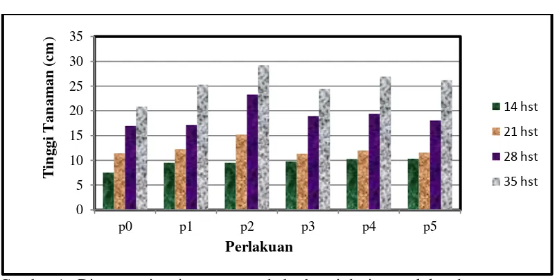 Tabel 1. Hasil uji beda rata-rata jumlah cabang produktif cabai rawit 