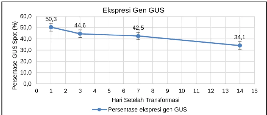 Gambar 2 Diagram intensitas ekspresi gen GUS hari setelah transformasi.  meregenarasi  eksplan  yang  telah 
