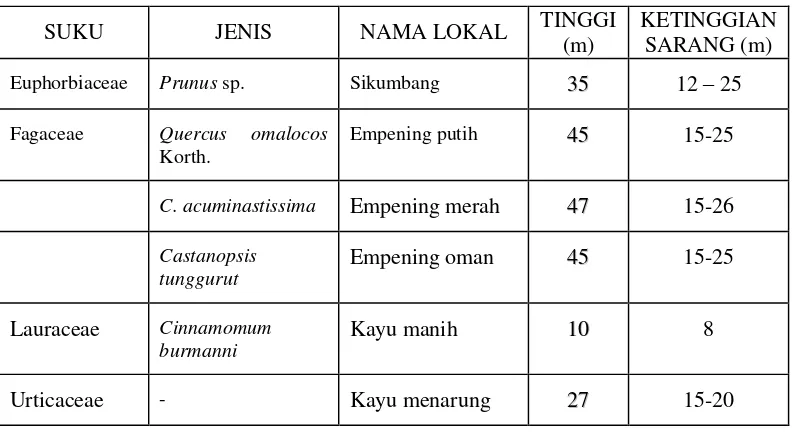 Tabel 2. Daftar Tumbuhan Hutan yang Disukai Kukang  sebagai Tempat Bersarang (Habitat) 