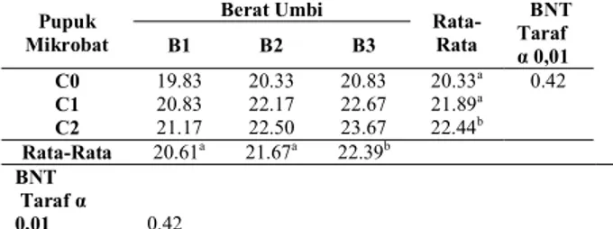 Tabel 2.   Rata-Rata Panjang Daun (cm) pada Pemberian  Pupuk Mikrobat dengan Berat Umbi Berbeda  Bawang  Merah  pada  umur  28,  42  dan  56  HST