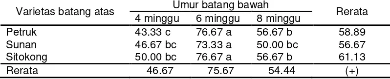 Tabel 1. Persentase keberhasilan penyambungan pada umur 1 bulan setelah penyambungan 