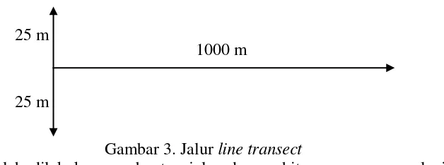 Gambar 3. Jalur line transect 