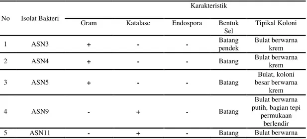 Tabel  1.  Identifikasi  Sederhana  Isolat  Bakteri  Indigenus  non  BAL  dalam  Fermentasi  Spontan  Tepung Jagung 