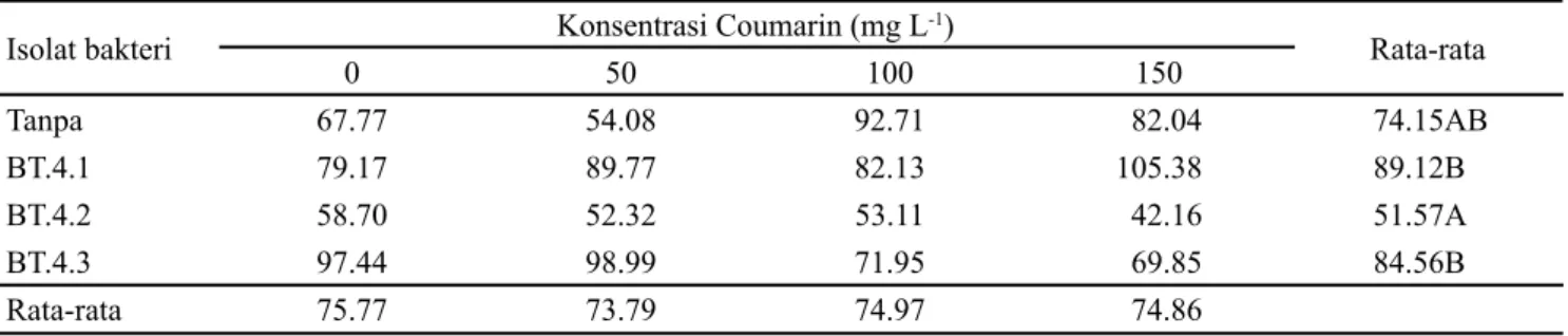 Tabel  5.  Bobot  segar  umbi  per  tanaman  (g)  kentang  umur  100  HST  pada  pemberian  isolat  Rizobakteri  dan  konsentrasi  coumarin