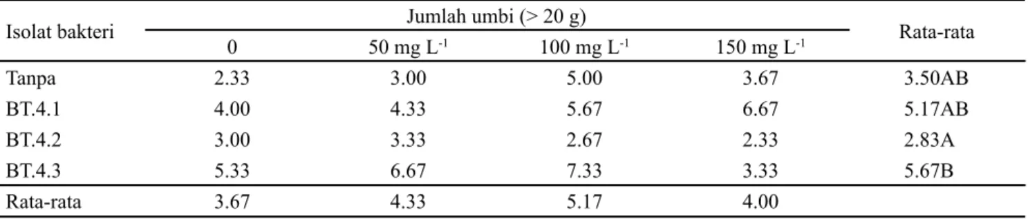 Tabel 8. Jumlah umbi berdasarkan kelas umbi Large (L)/besar &gt; 20 g umur 100 HST pada pemberian isolat Rizobakteri dan  konsentrasi coumarin (mg L -1 )