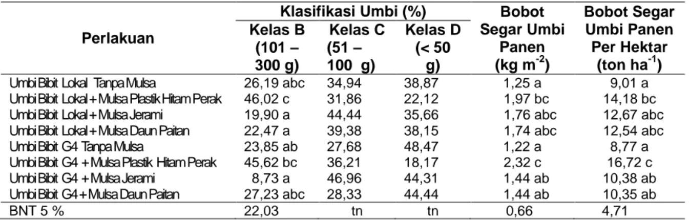 Tabel 4 Rerata Bobot Segar Umbi Berdasarkan Klasifikasi (%), Bobot Segar Umbi Panen m -2  (kg  m -2 ),  dan  Bobot  Segar  Umbi  Panen  ha -1  (ton  ha -1 )  Untuk  Setiap  Perlakuan    Umbi  Bibit  dan  Berbagai Jenis Mulsa 