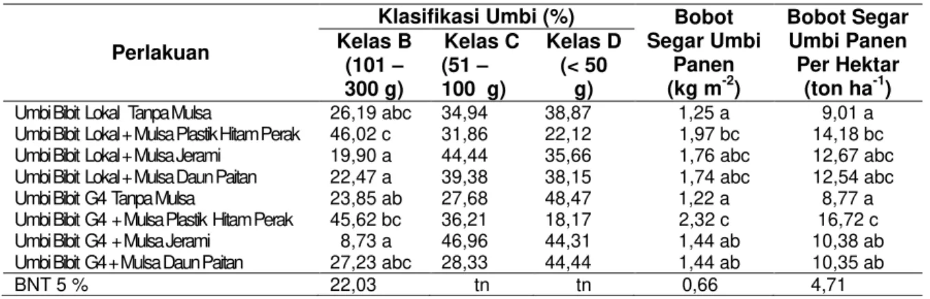 Tabel 4 Rerata Bobot Segar Umbi Berdasarkan Klasifikasi (%), Bobot Segar Umbi Panen m -2  (kg  m -2 ),  dan  Bobot  Segar  Umbi  Panen  ha -1  (ton  ha -1 )  Untuk  Setiap  Perlakuan    Umbi  Bibit  dan  Berbagai Jenis Mulsa 