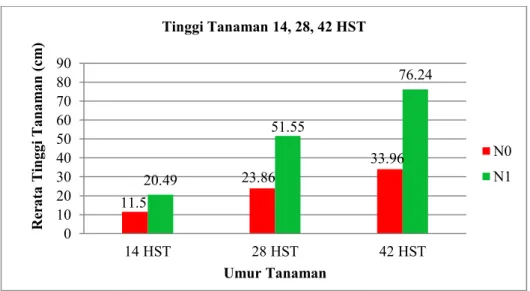 Gambar 1. Rerata Tinggi Tanaman pada 14 HST, 28 HST, dan 42 HST.  Perbedaan  tersebut  terjadi  diduga 