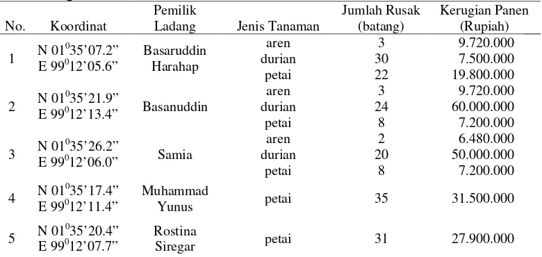 Tabel 6. Identifikasi kejadian konflik orangutan dengan manusia di Desa Sitandiang 